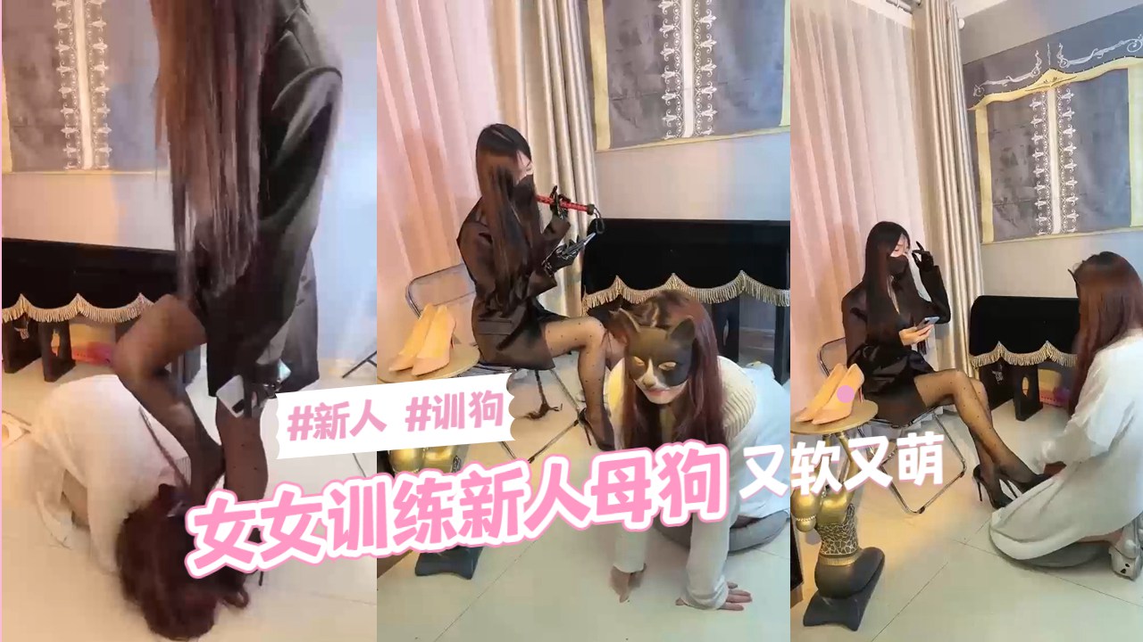 [新人调教] 爆操新收母狗 调教骚穴内射颜射